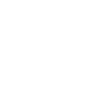 Domination Global Marketing